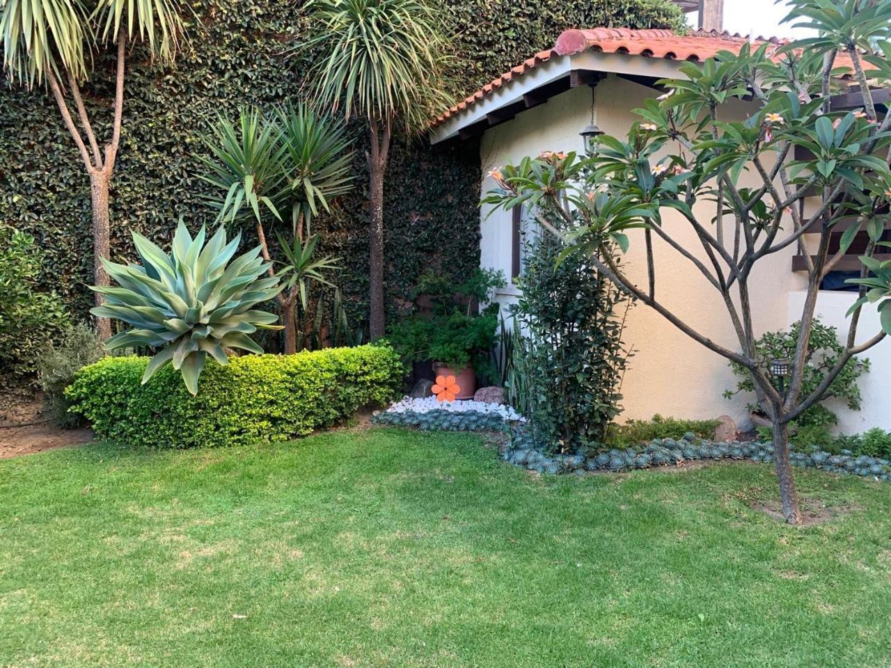 Apartamento Con Jardin كوتشابامبا المظهر الخارجي الصورة